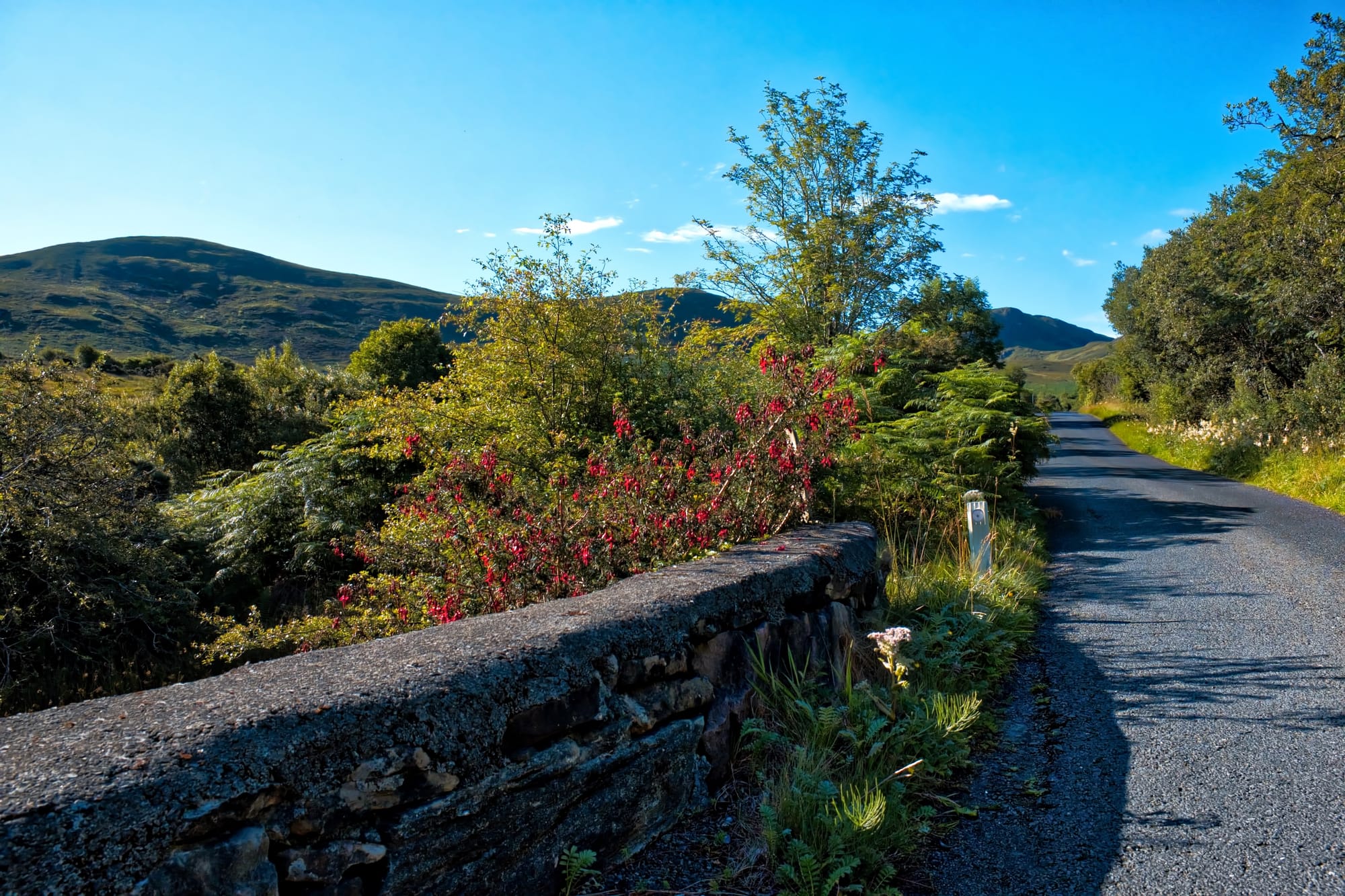 Road to the Windy Gap