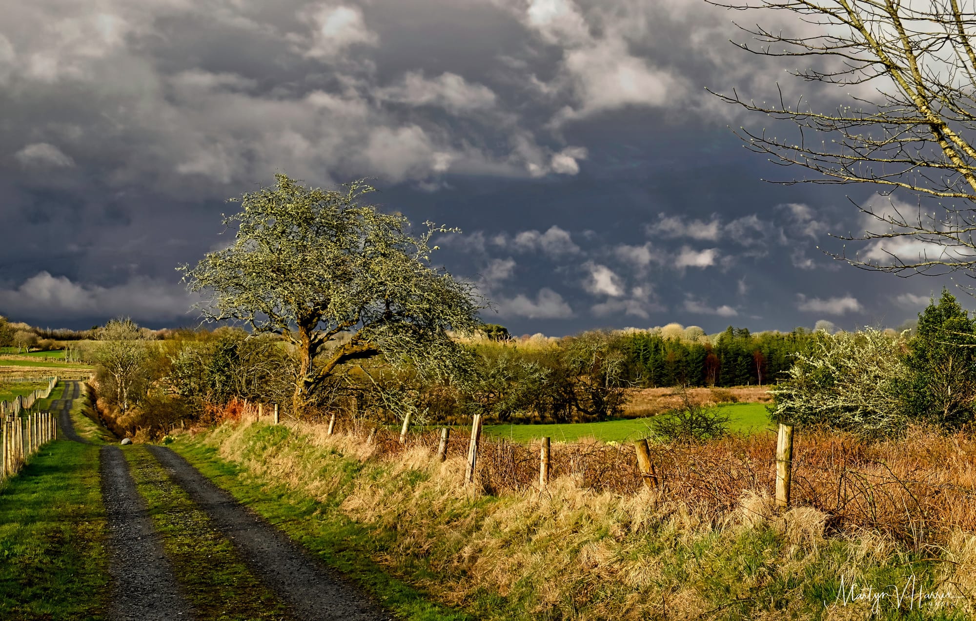 Evening light between April showers