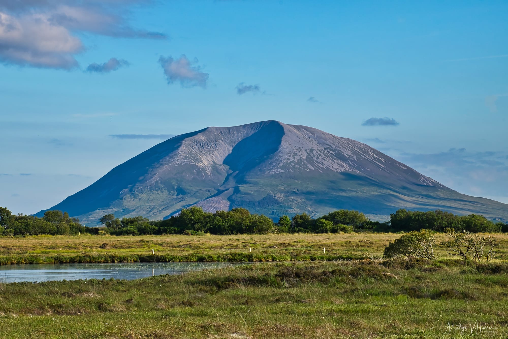 Nephin
