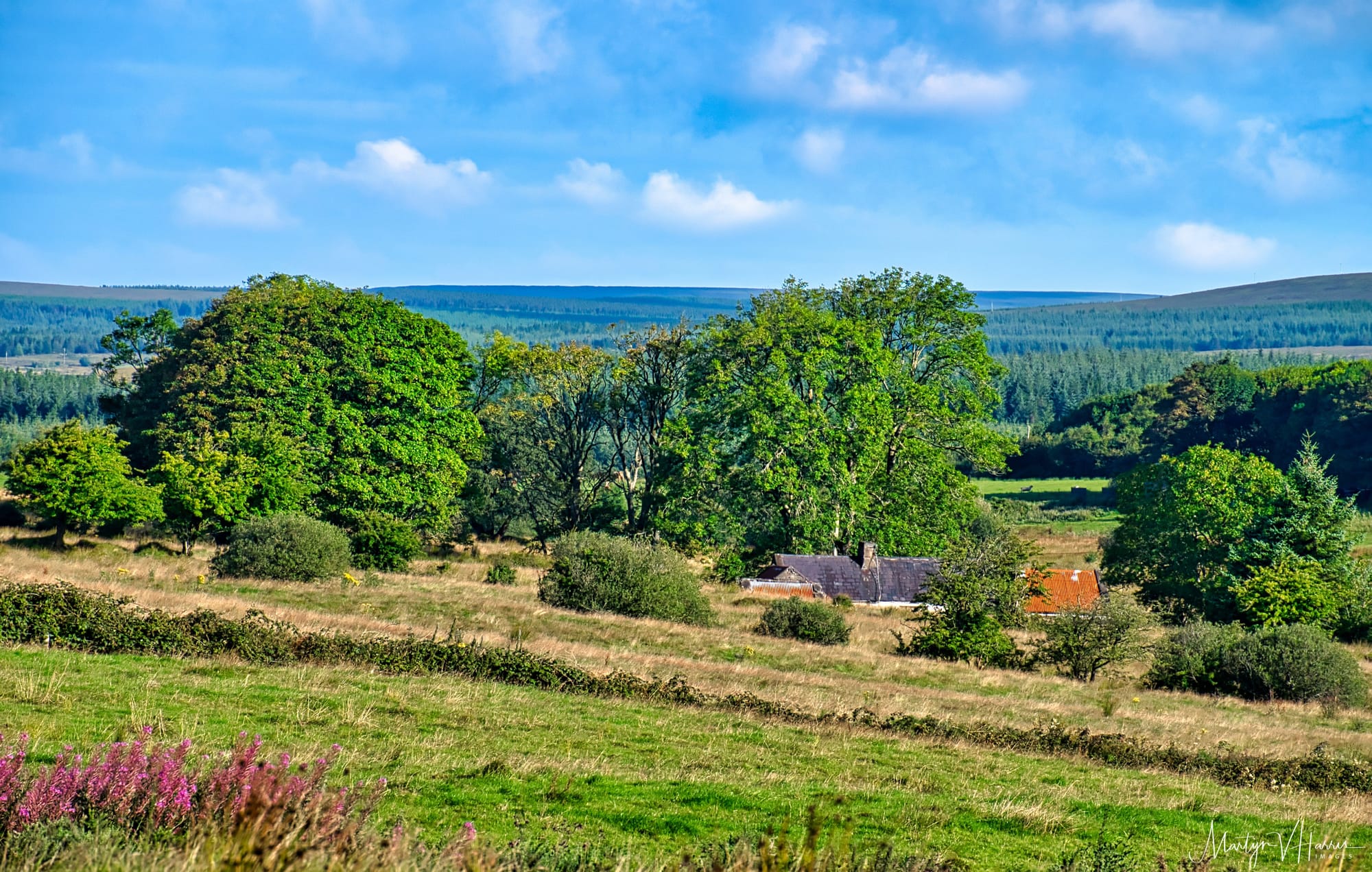 Another abandoned farm