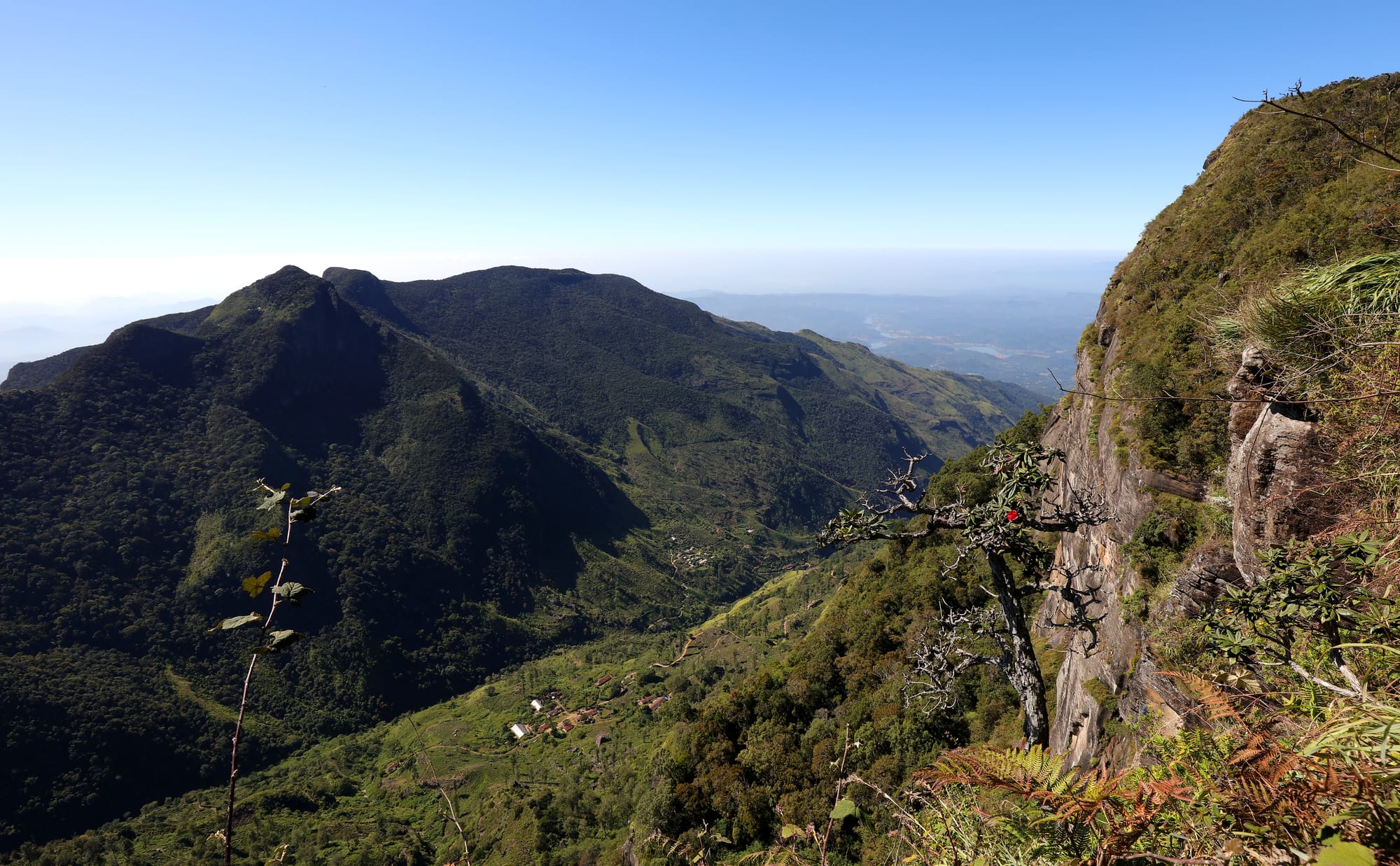 Mini World's End - Horton Plains National Park - Earth's Wild Wonders