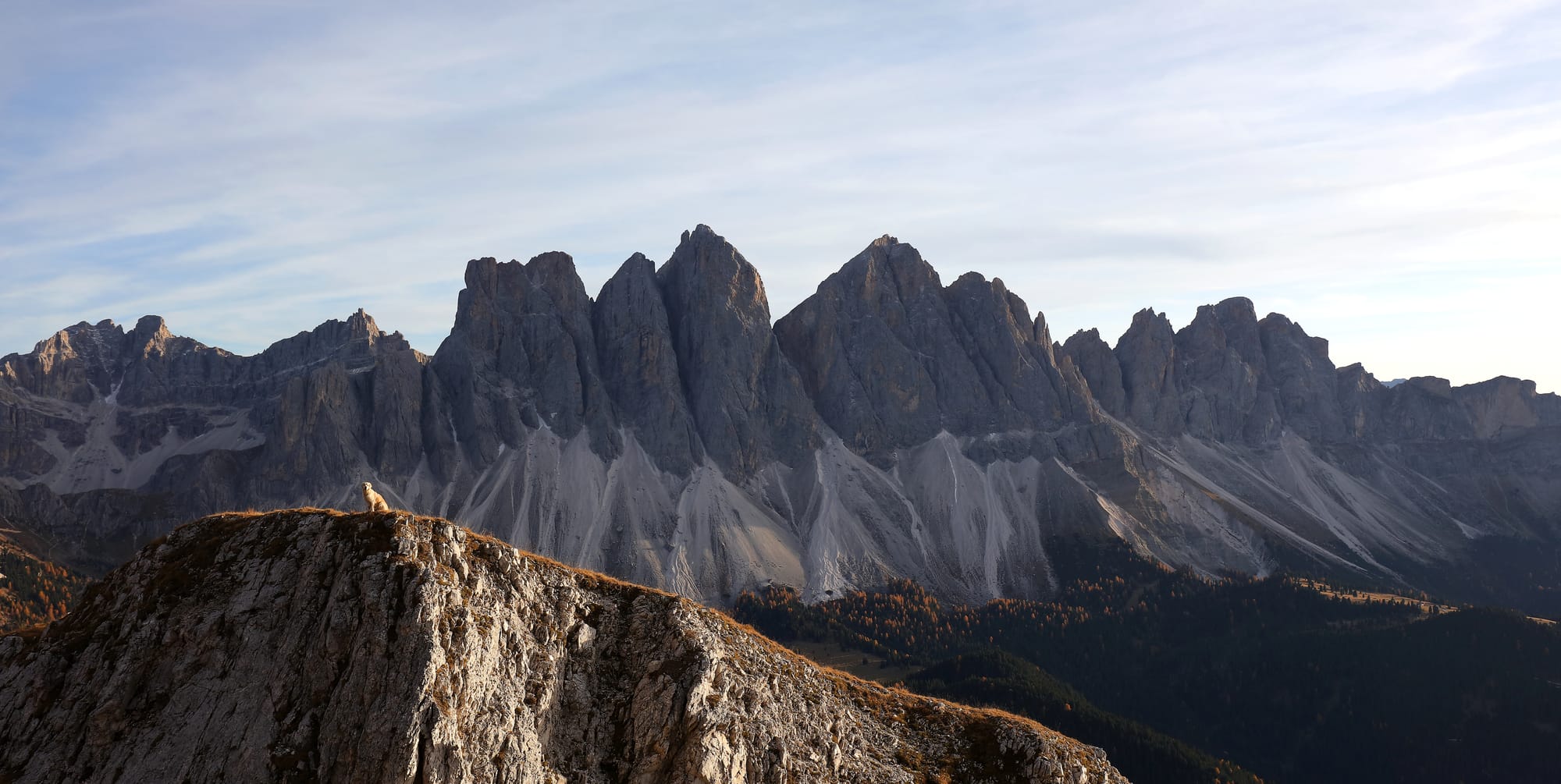 Sunny - Gruppo delle Odle - Dolomiti di Gardena - Trentino-Alto Adige ...