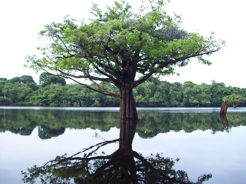 Environmental and Climate Education in the Brazilian Army