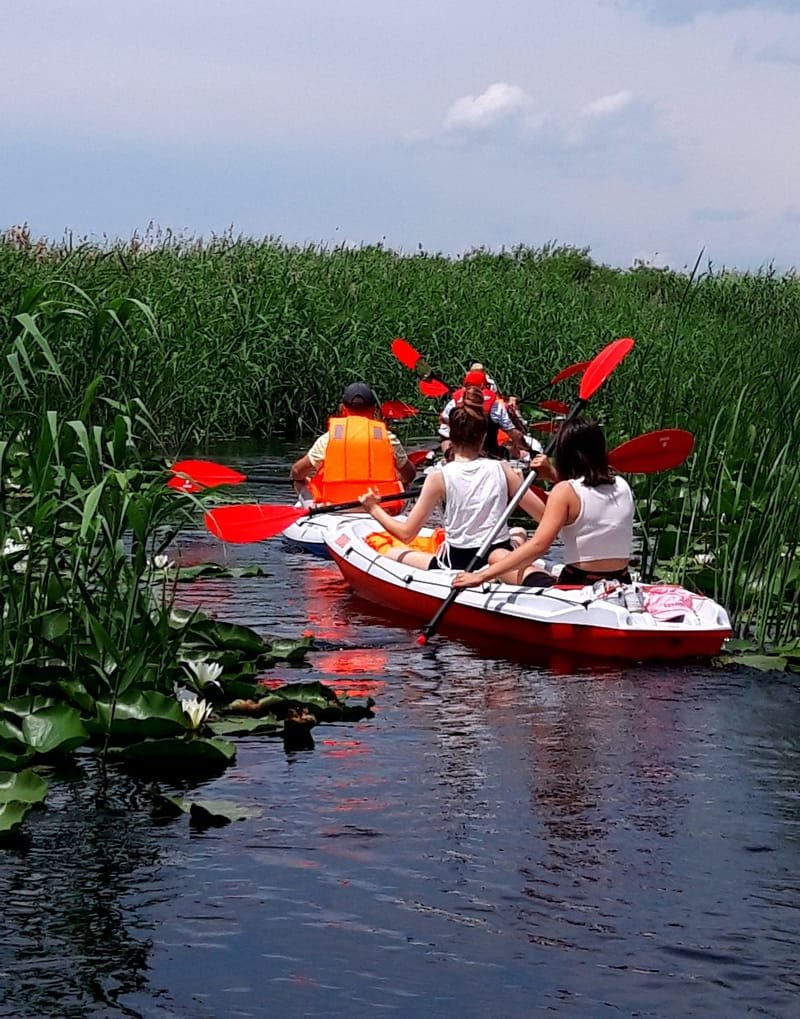 Vara în Caiace & Stand Up Paddle & Terapie cu nuferi pe lacul Somova