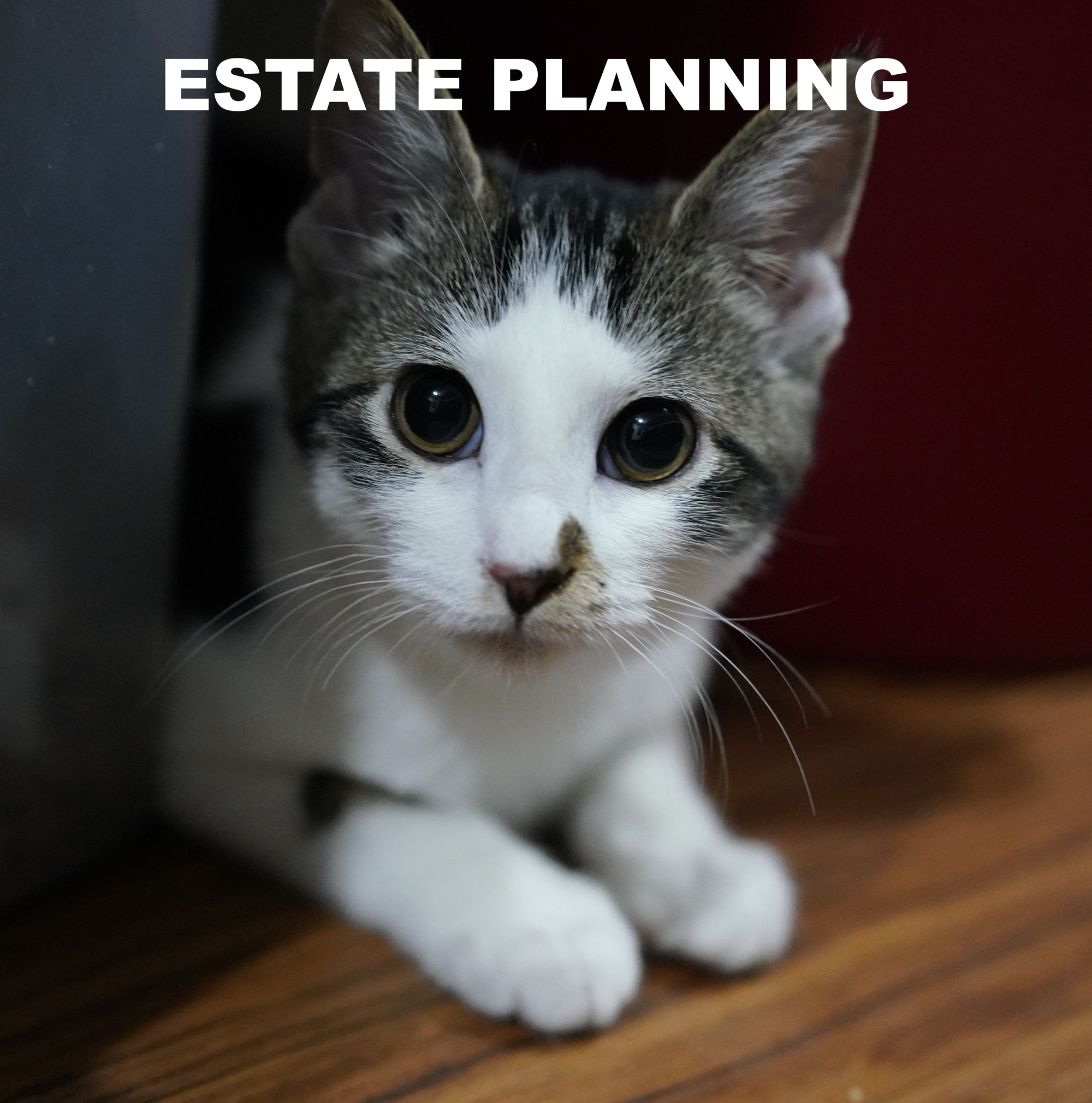 Estate Planning