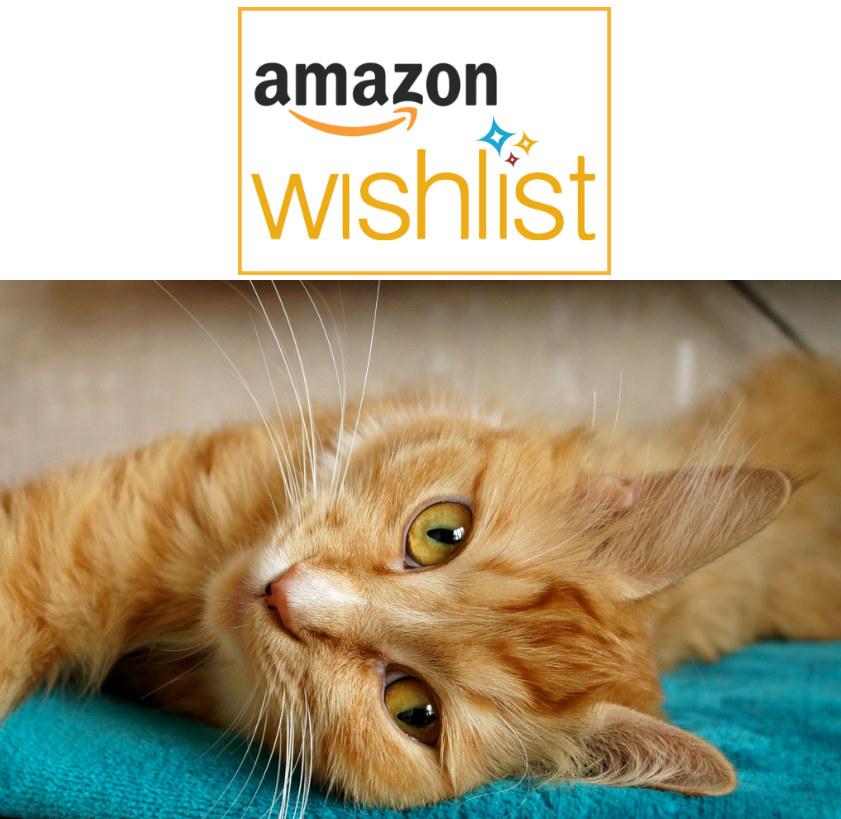 Amazon Wish List - Supplies We Need