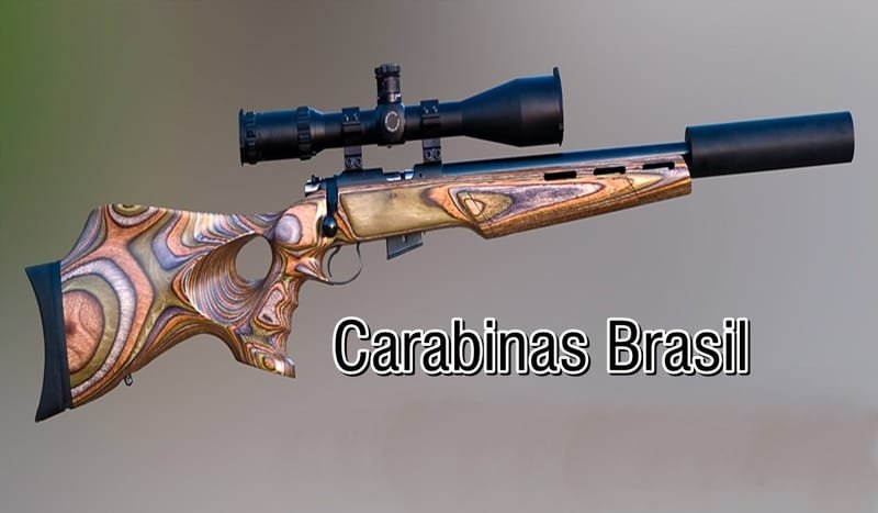 Pistola Taurus 938 Calibre 380 16 Tiros Oxidada Fosco - Fire Arms Brasil