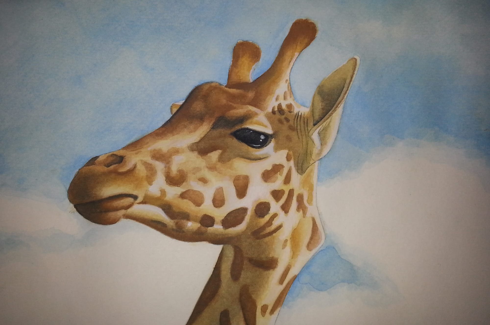 Erin's Giraffe