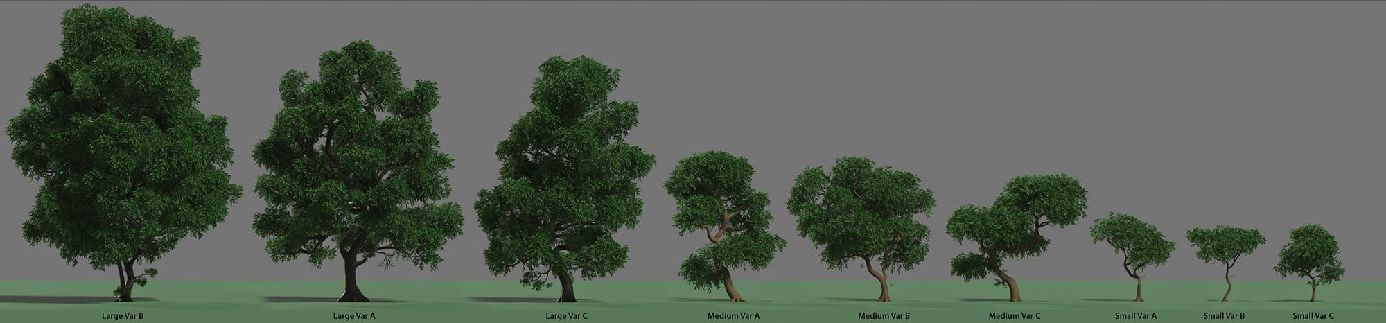 Tree Lineup