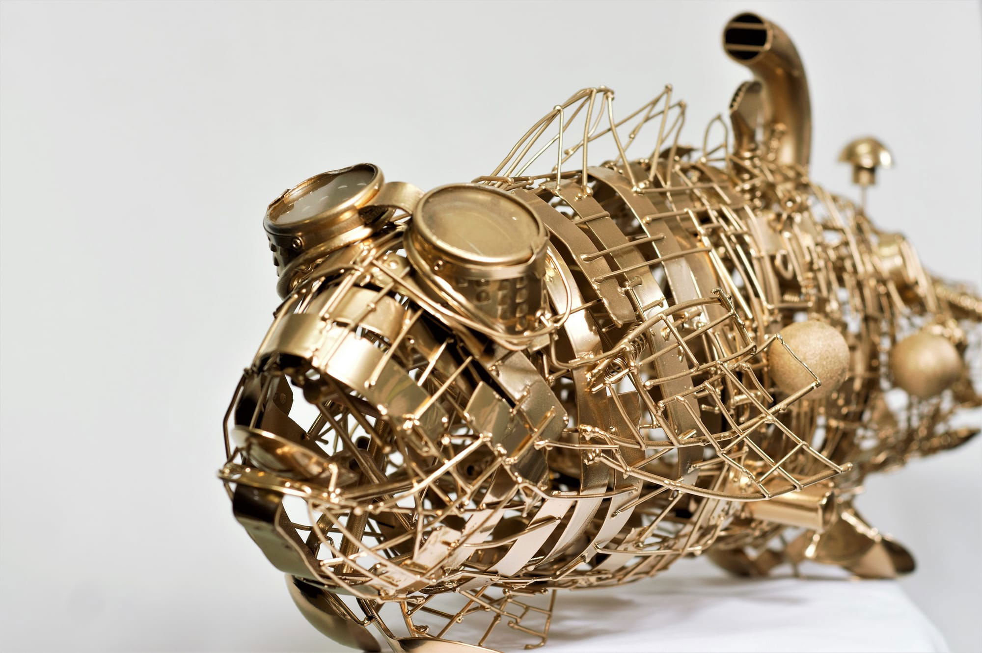 Gold Fish , finalista Premio Arte, Milano 2018
