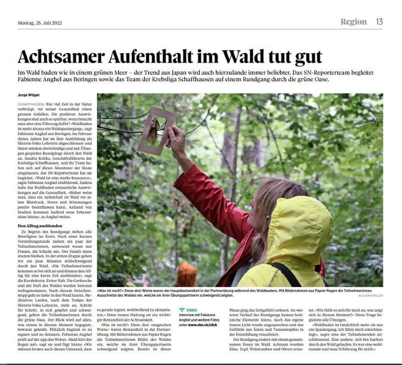 Zeitungsbericht / Onlinevideo Schaffhauser Nachrichten