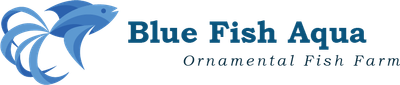 Blue Fish Aqua