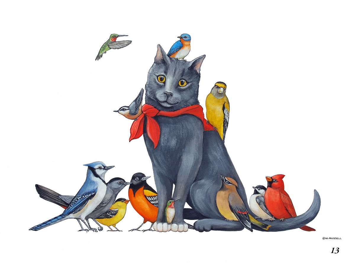 Cat Birds