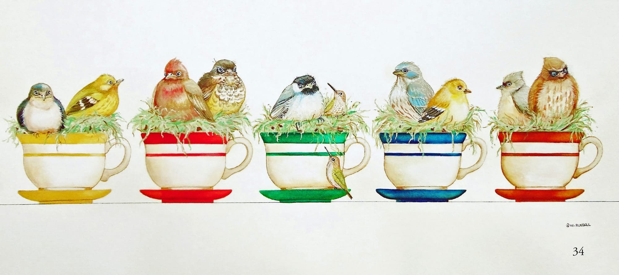 Baby Birds in Teacups