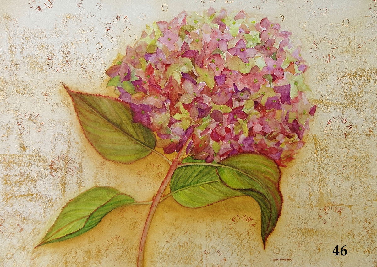 Love Letters Mauve Hydrangea