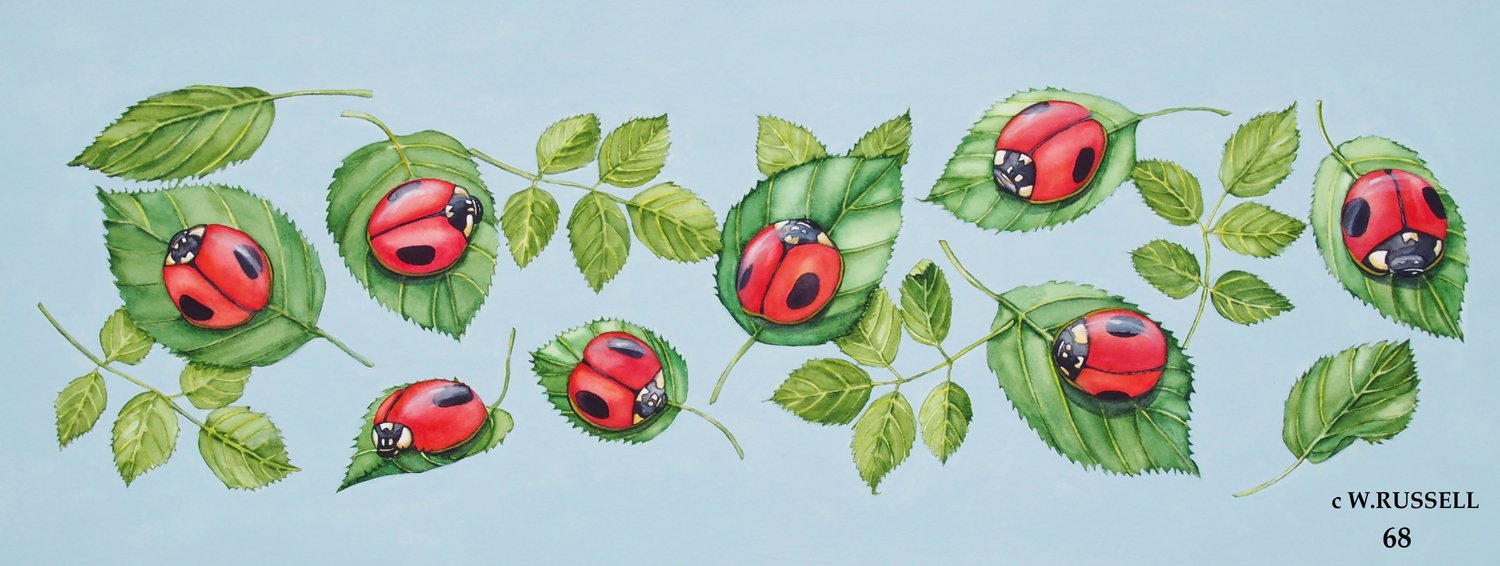 Ladybugs on Green Leaves
