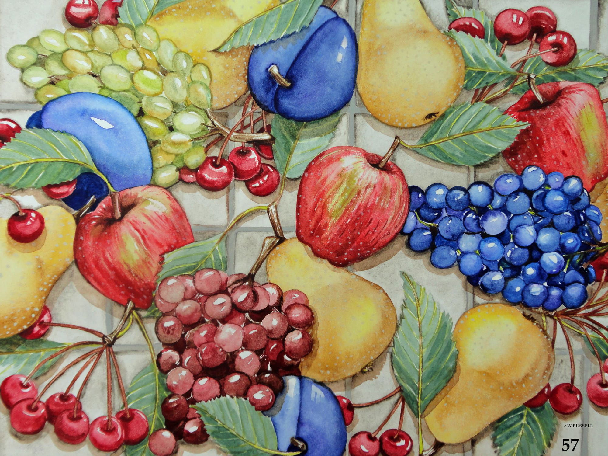 Fruit on Tile Overall Design
