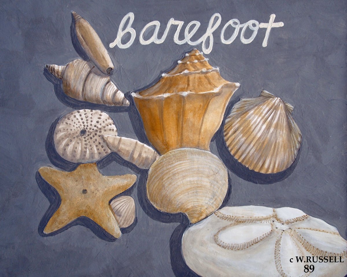 Seashells on Grey Series Barefoot