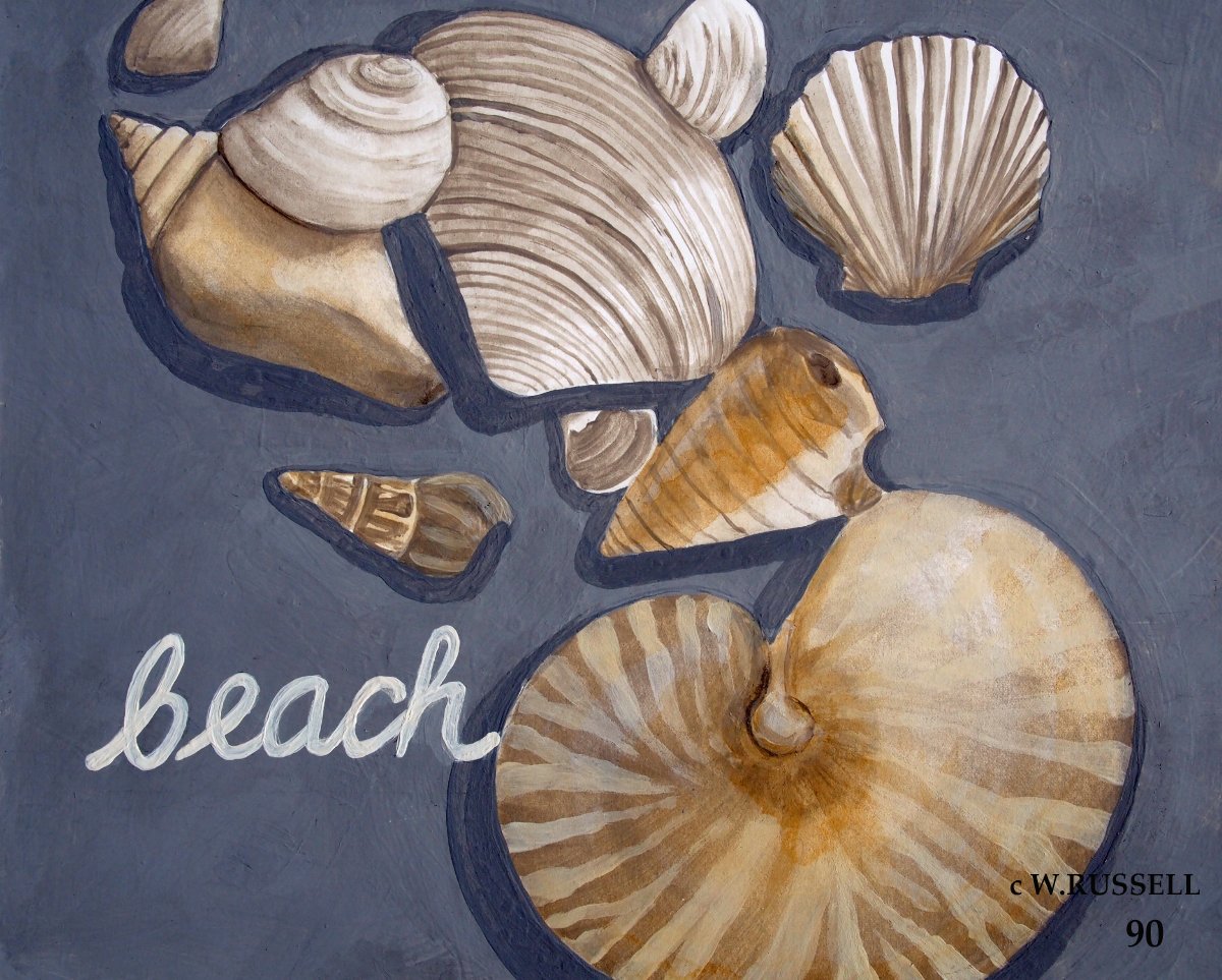 Seashells on Grey Series Beach