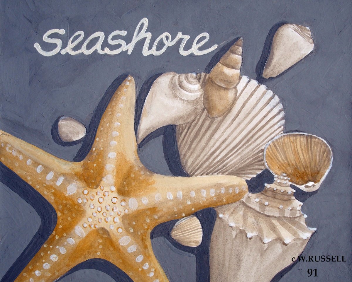 Seashells on Grey Series Seashore