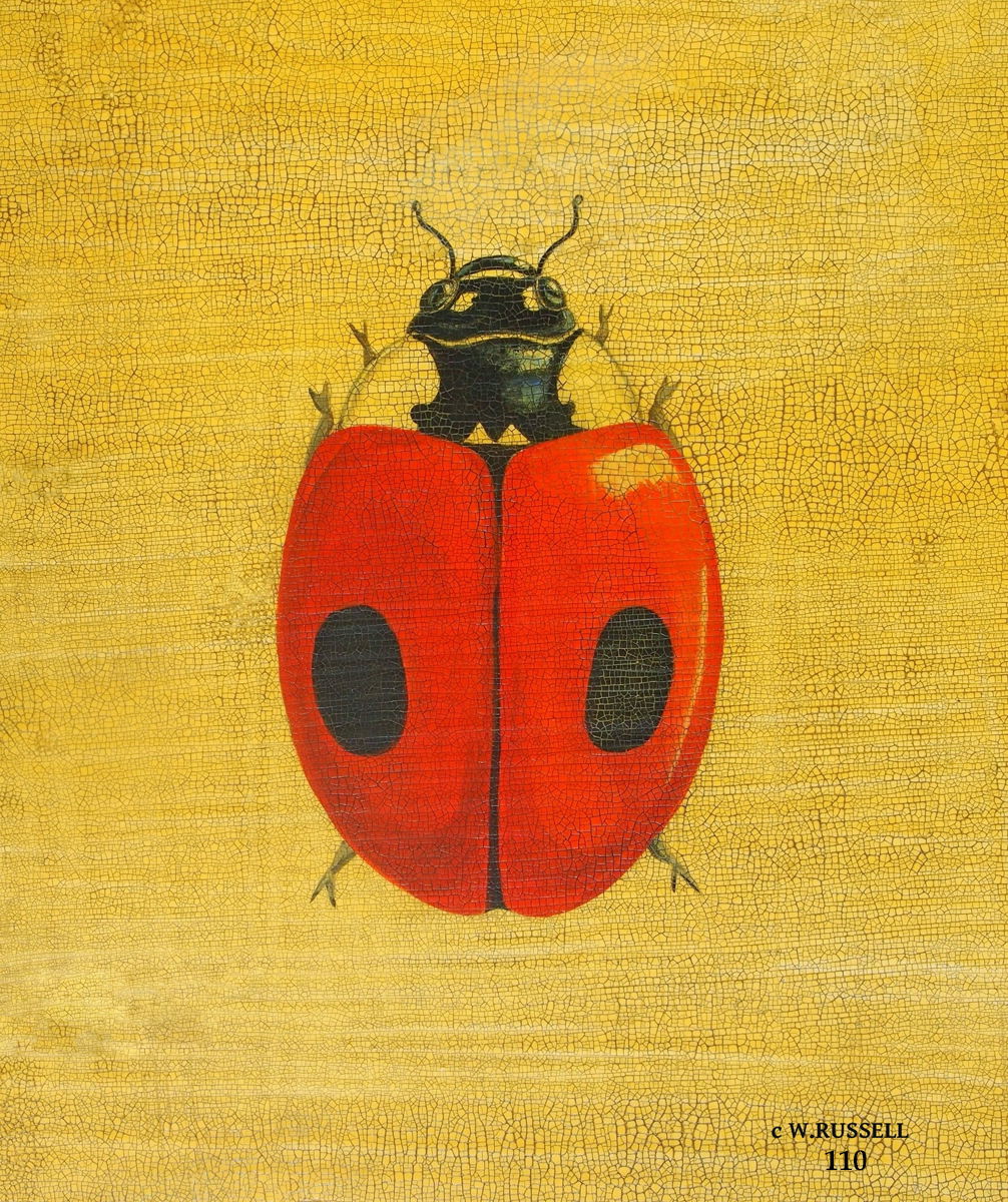 Ladybug Crackled