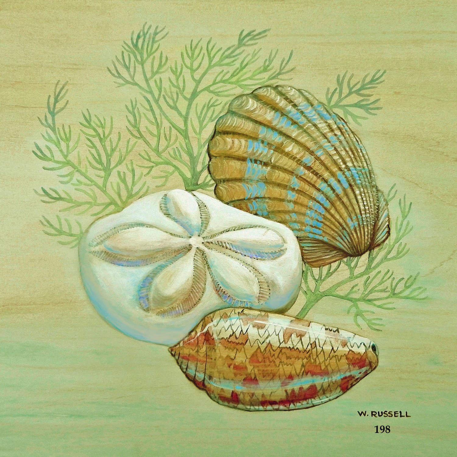 Seashell Trios Series
