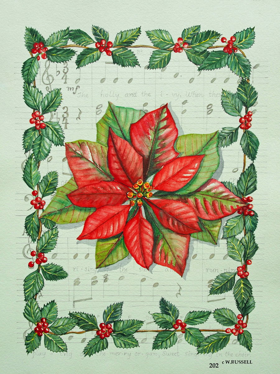 Holiday Poinsettia