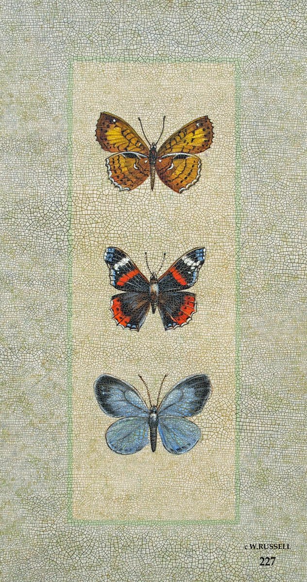 Crackled Butterfly Trio 2