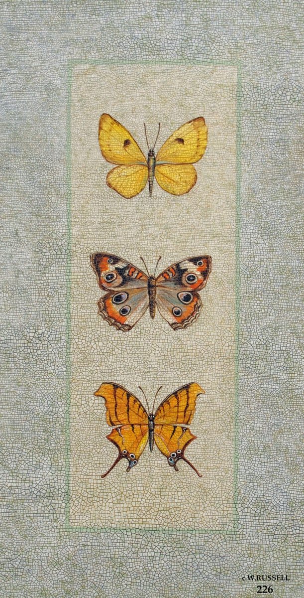 Crackled Butterfly Trio 1