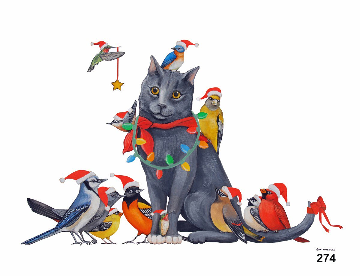 Cat Birds Christmas