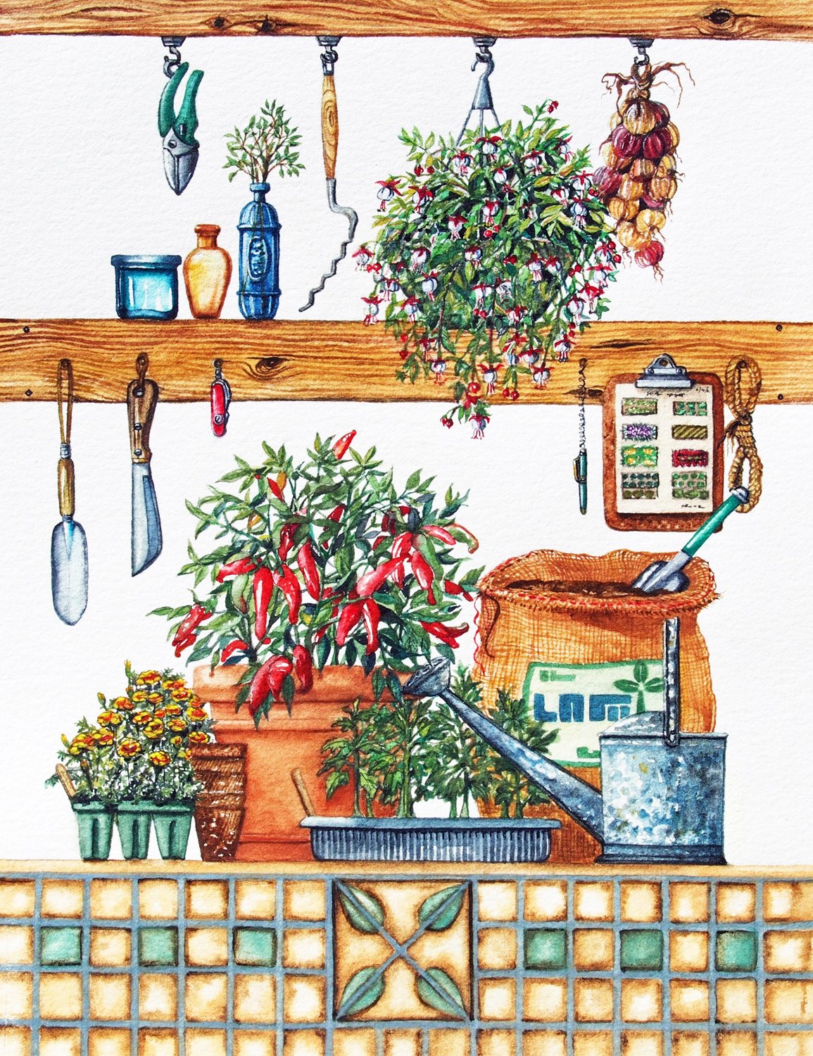Garden Shed Series Pepper Plant