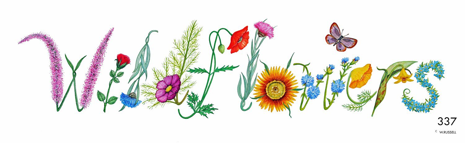 Wildflowers Decorative Lettering
