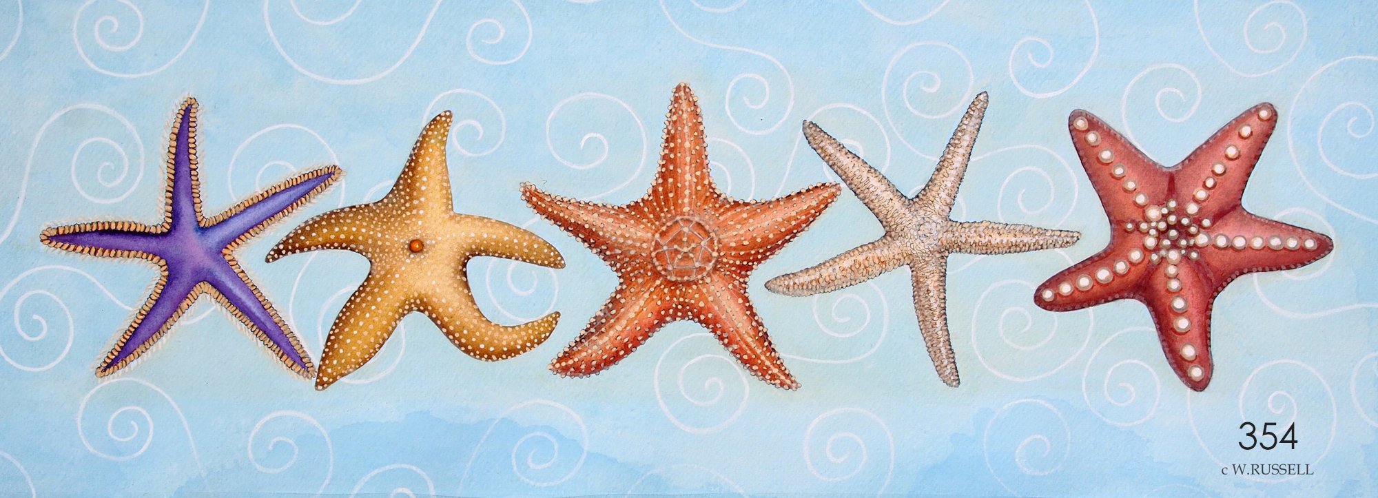 Sea Stars With Swirls