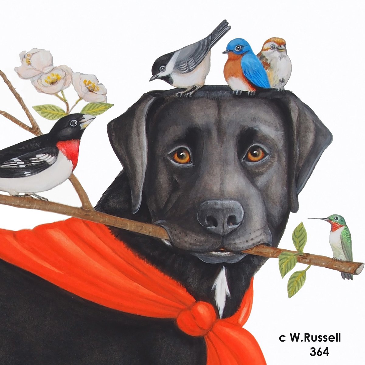 Bird Dog Branches Out Head View with Birds