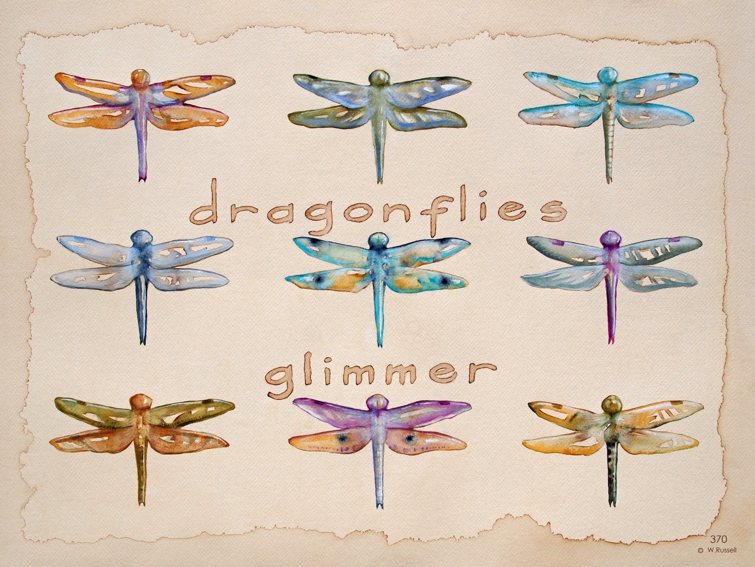 Dragonflies Glimmer
