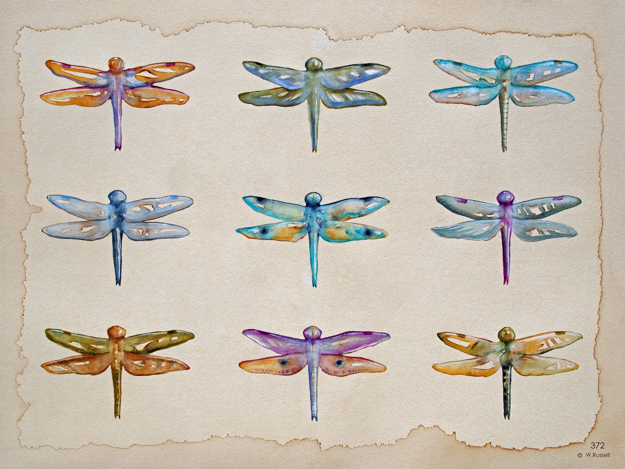 Dragonflies Glimmer no Text