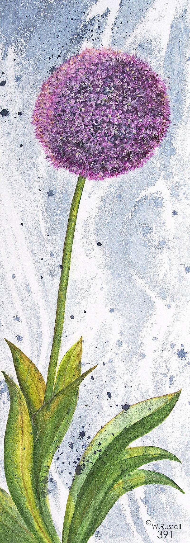 Vertical Allium Flower
