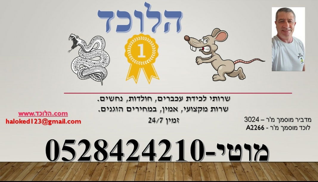 הלוכד