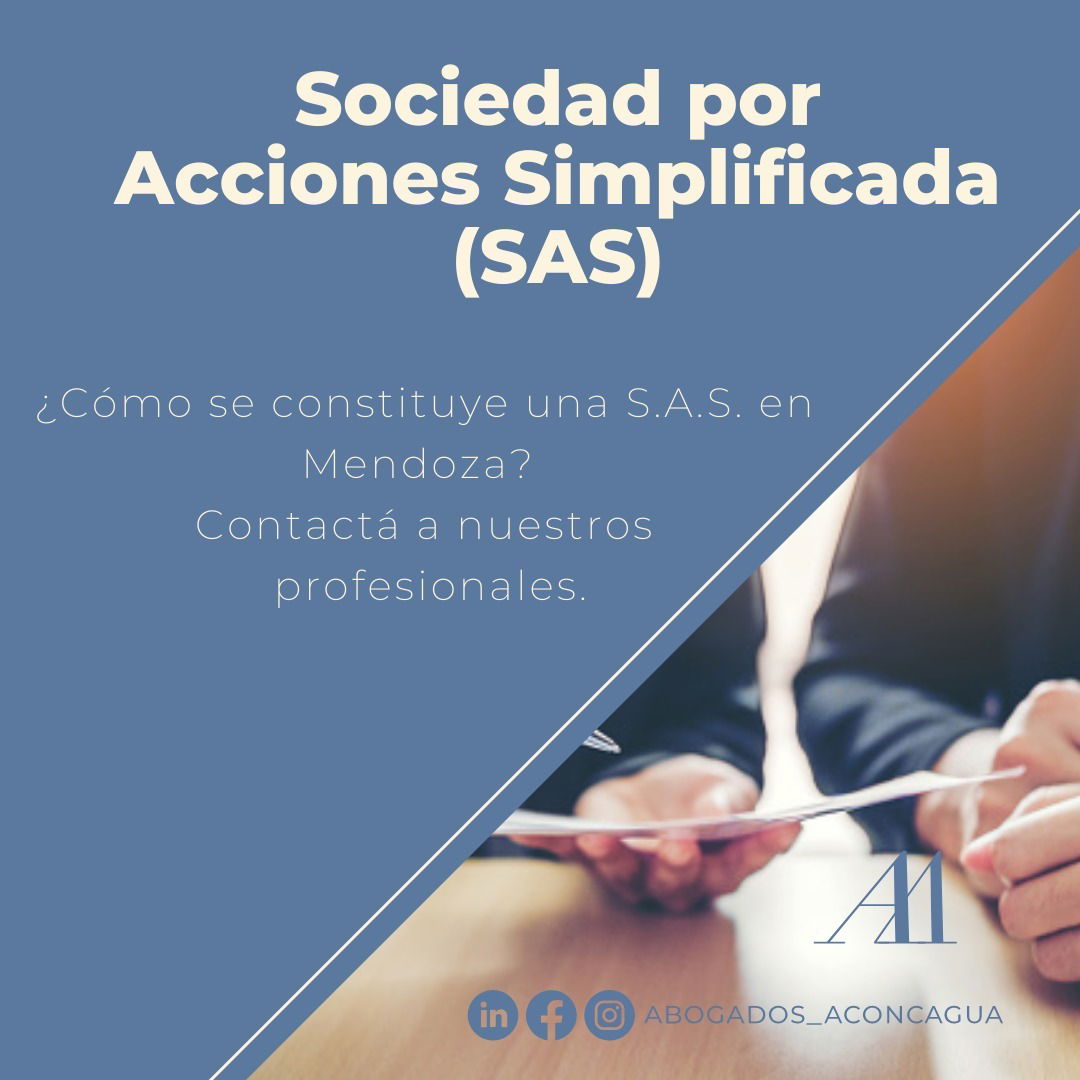 Constitución De Sociedad Por Acciones Simplificada 8153