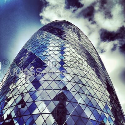 Berwyn Business Services