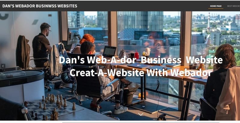 Dan's Web-A-Dor Business