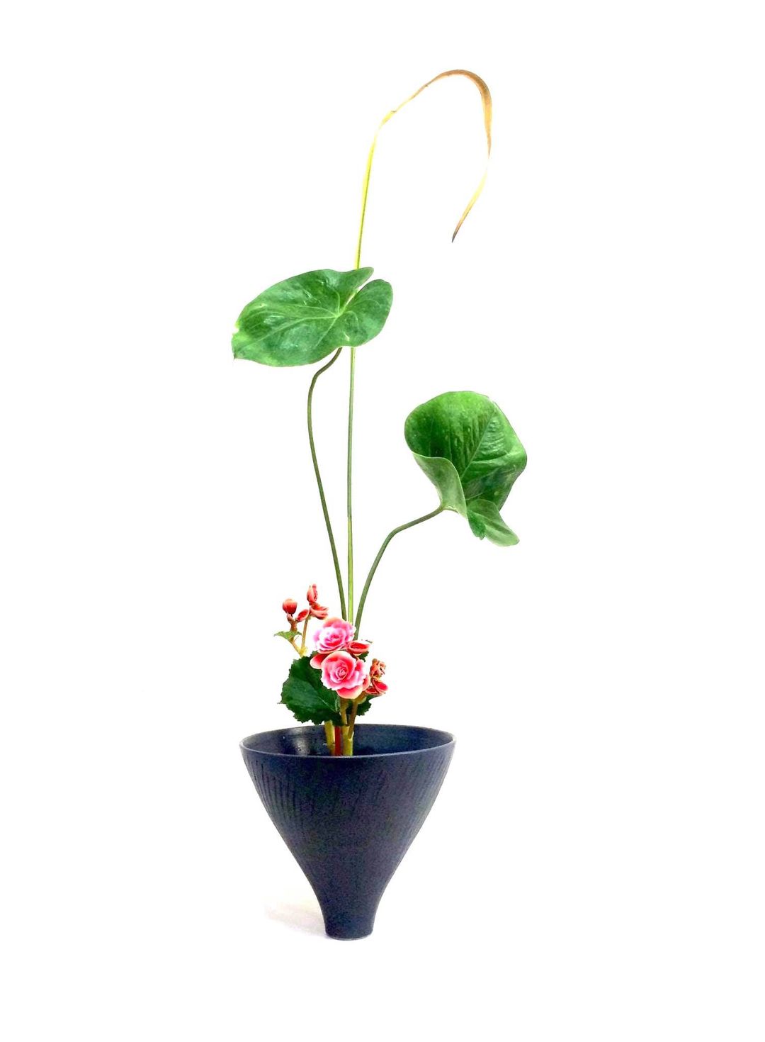 Semi-Finalists for the Ikebana Gallery Award 2022, September 2021 Quarter
