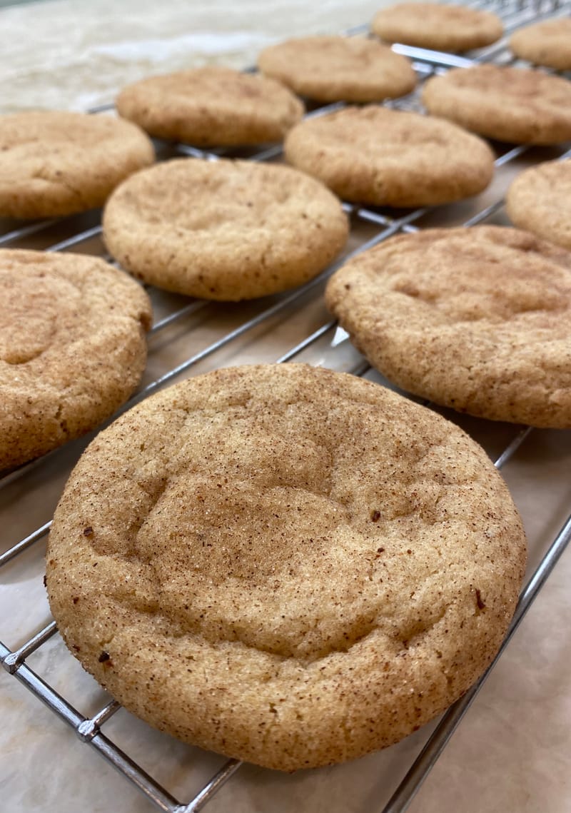 Snickerdoodle Crumb The Magic Crumb