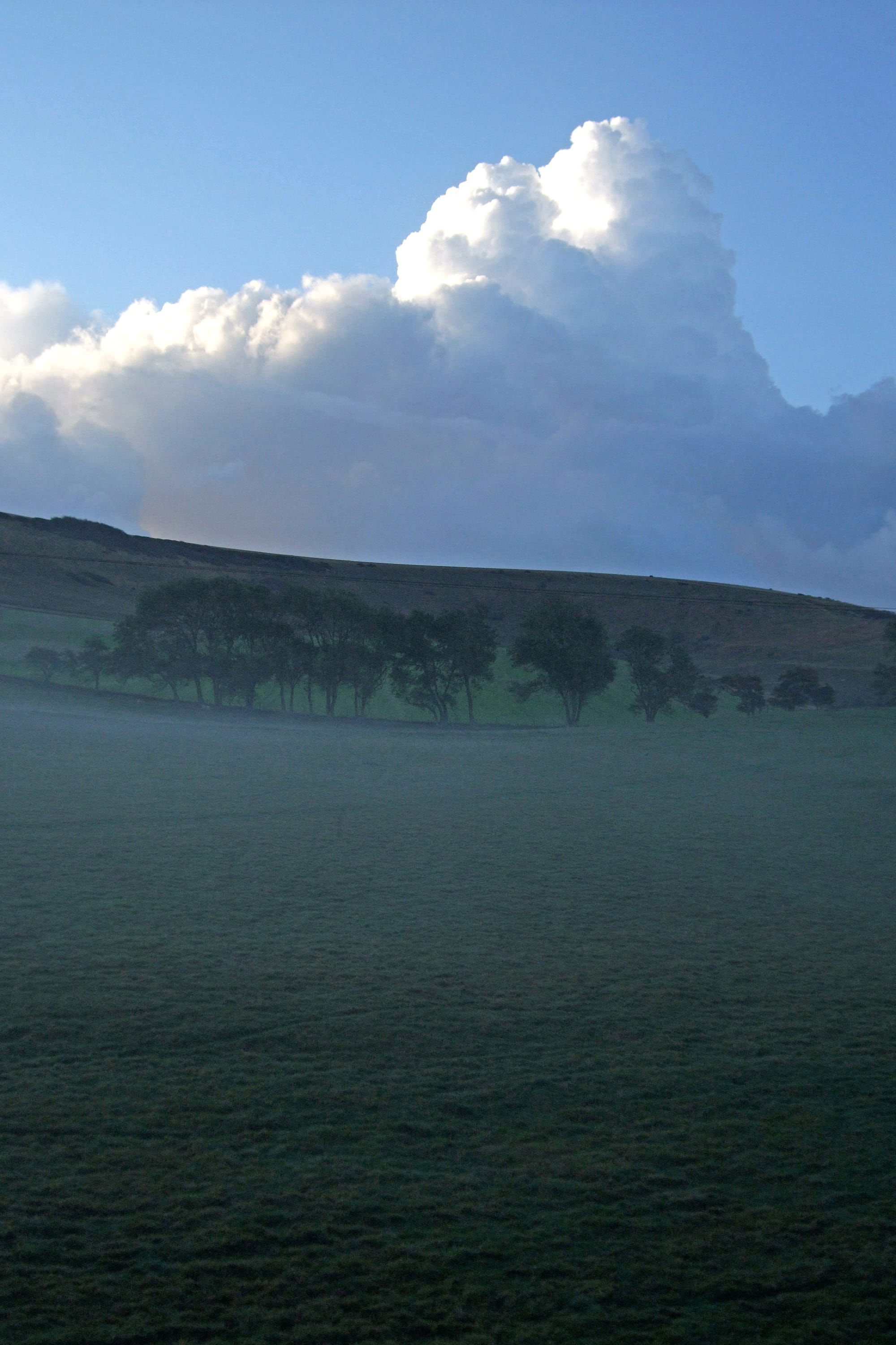 Morning Mist, Beddingham, East Sussex