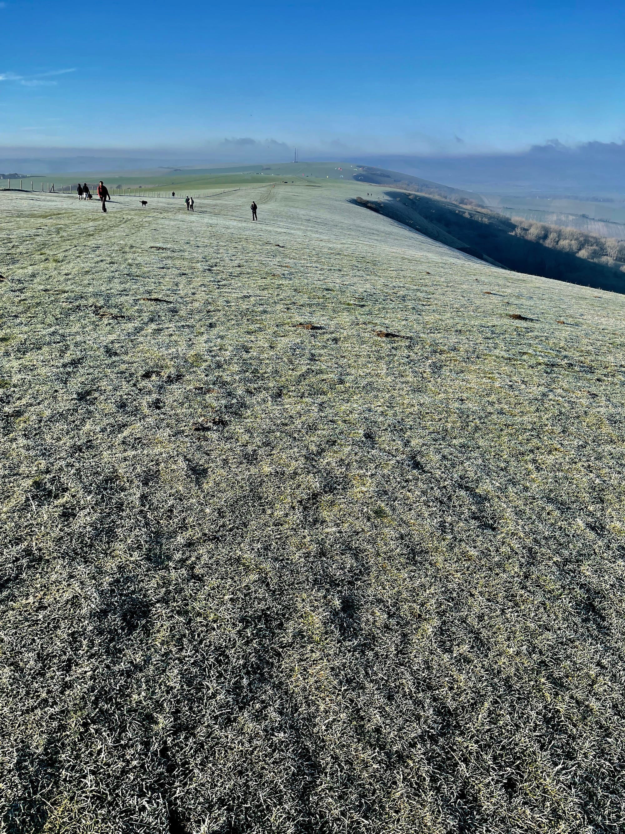 Jack Frost. Firle, East Sussex