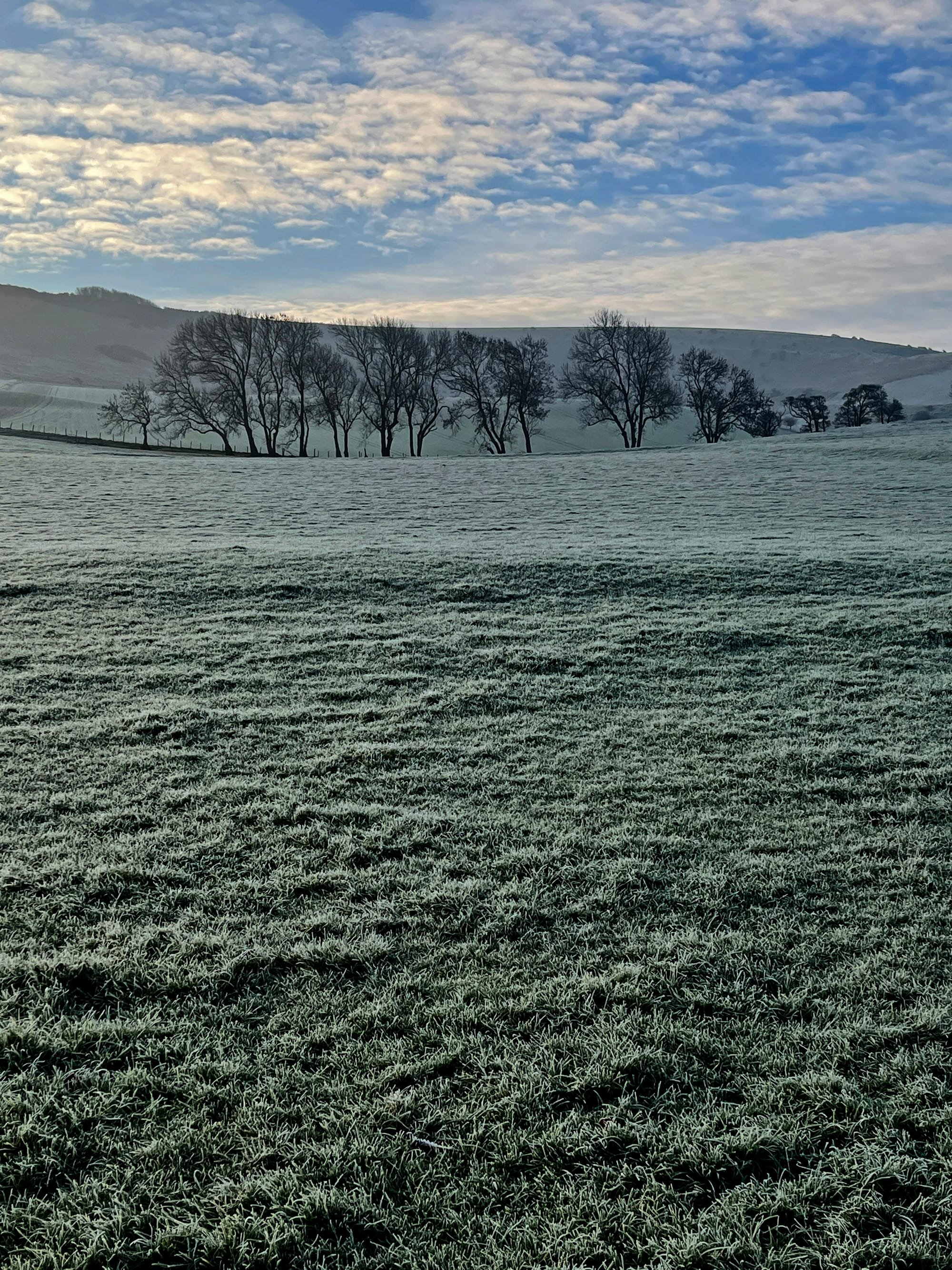 Frosty Morning. Beddingham