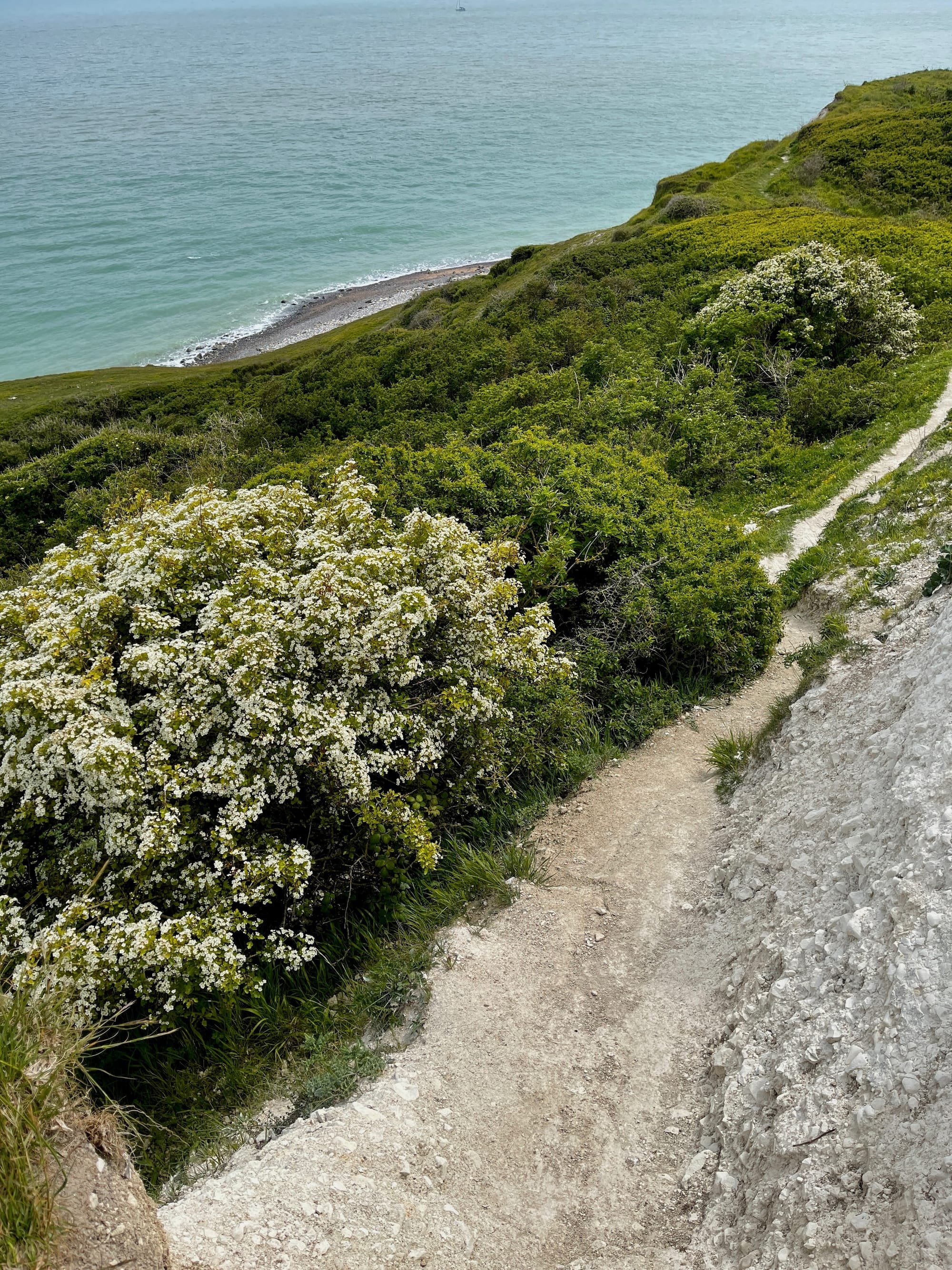 Down to the Beach. Cow Gap, East Sussex