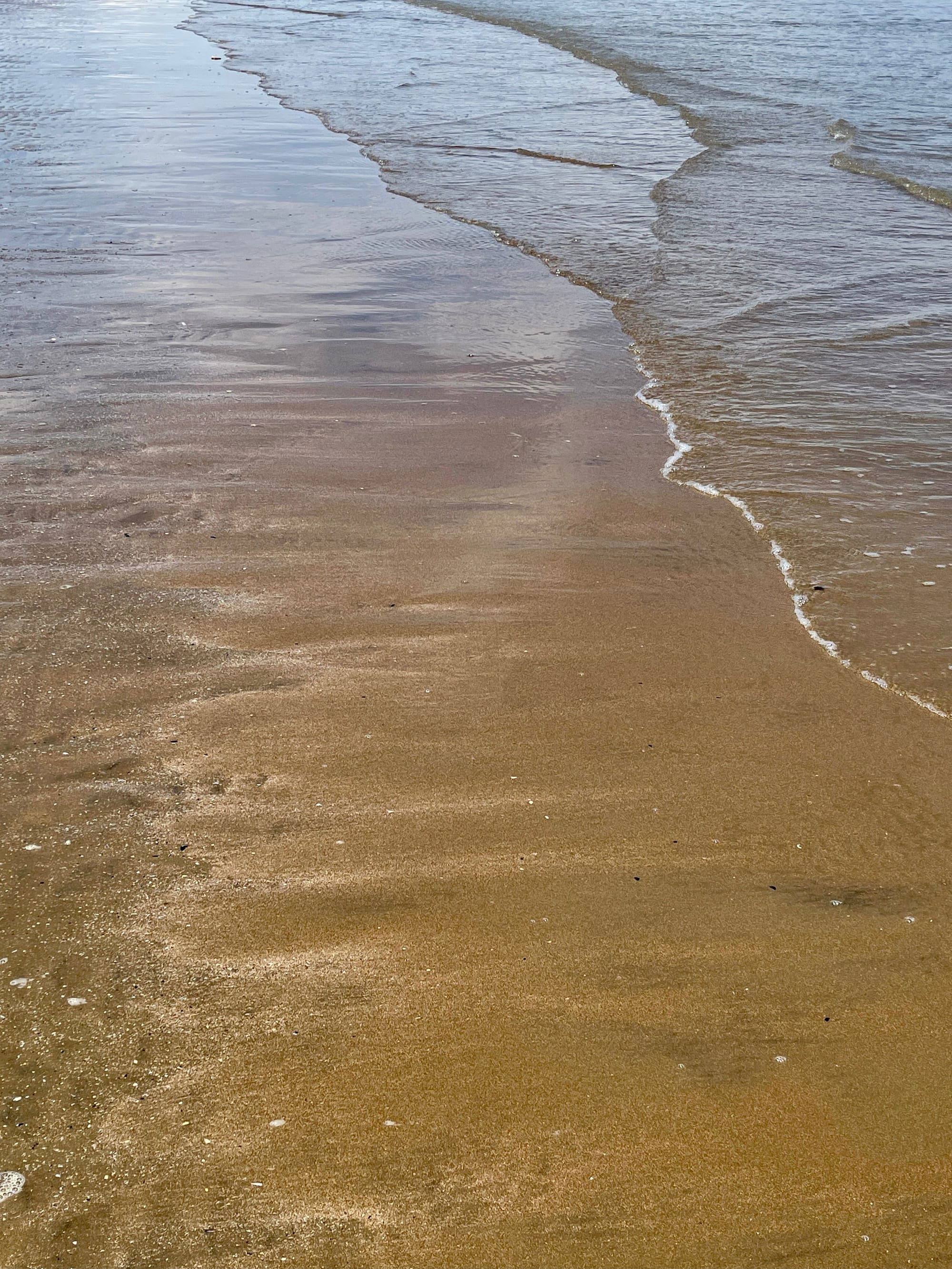 Low Tide. Plett Level, East Sussex