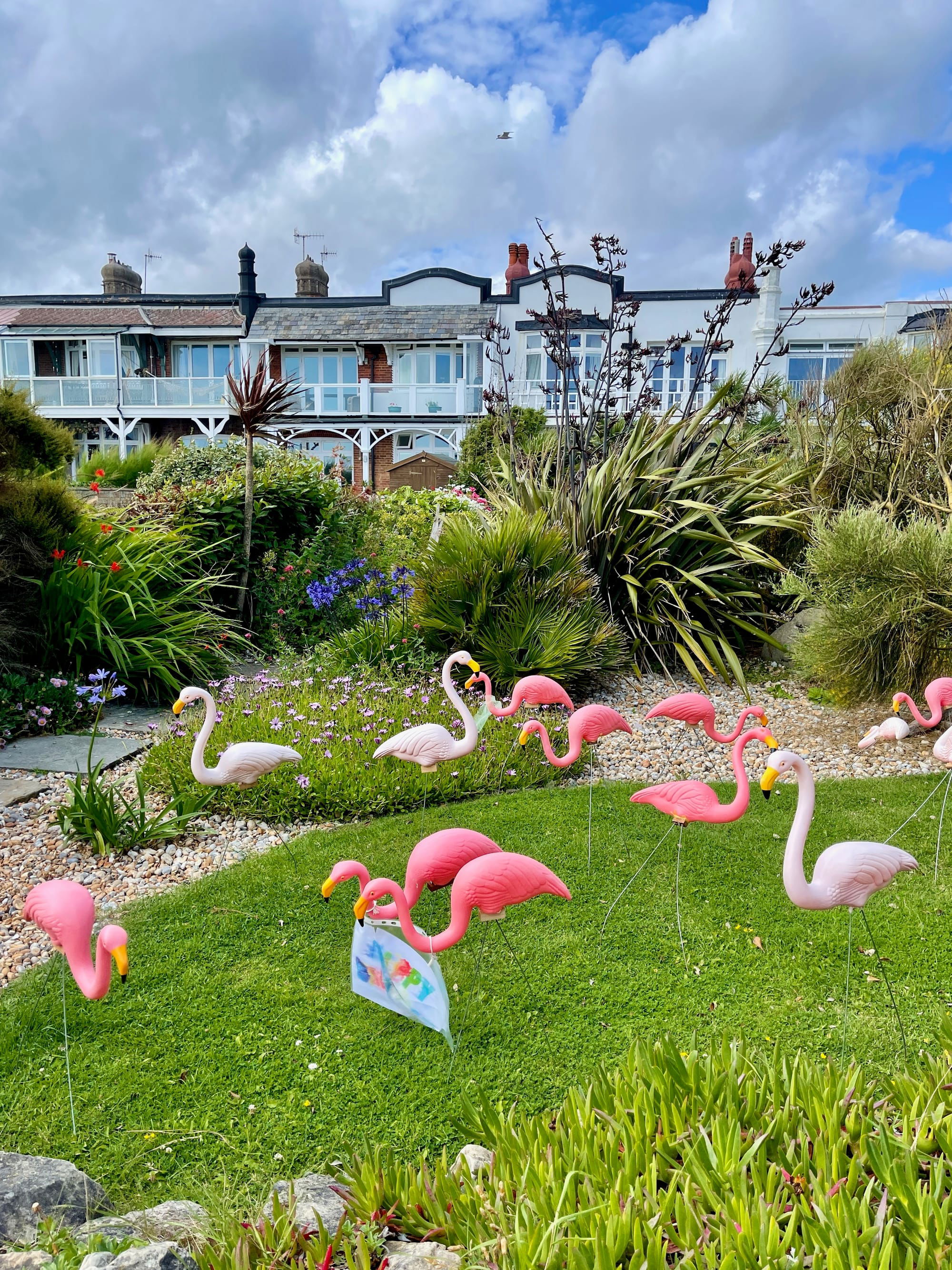 Pink Flamingo's. Bexhill, East Sussex
