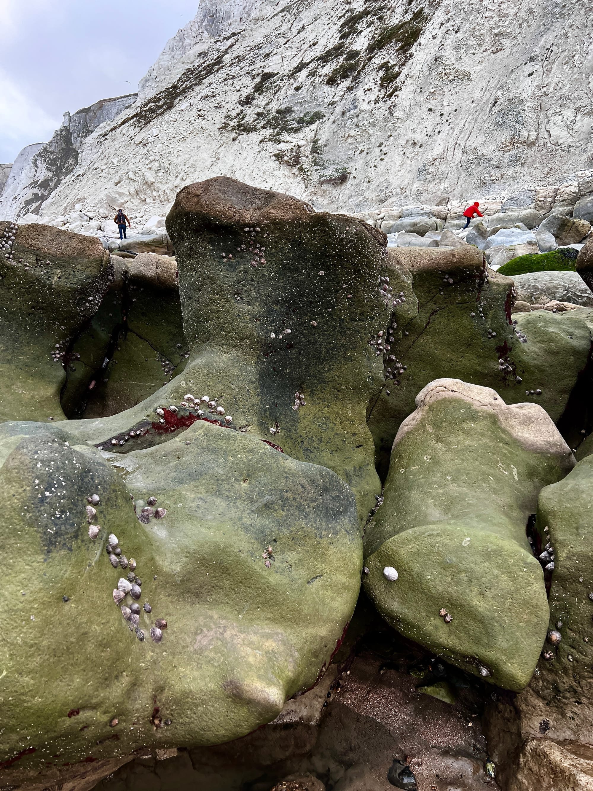 Exploring the Rocks. Beachy Head, East Sussex